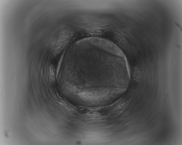 X0000101651298200807241345