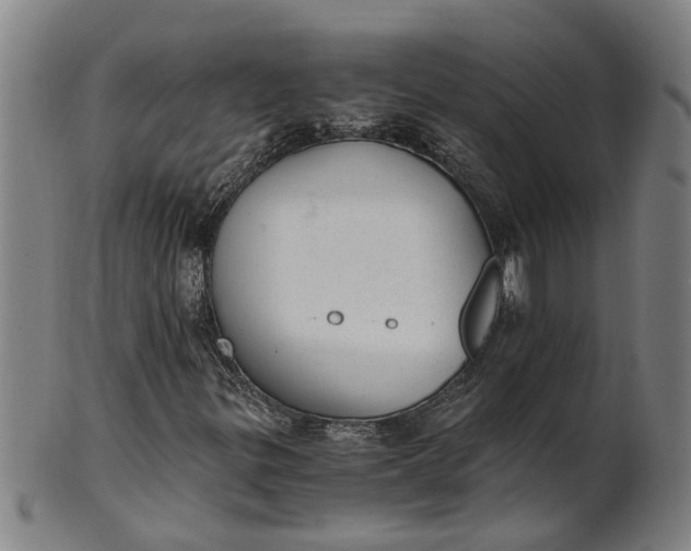 X0000101651299200807241346