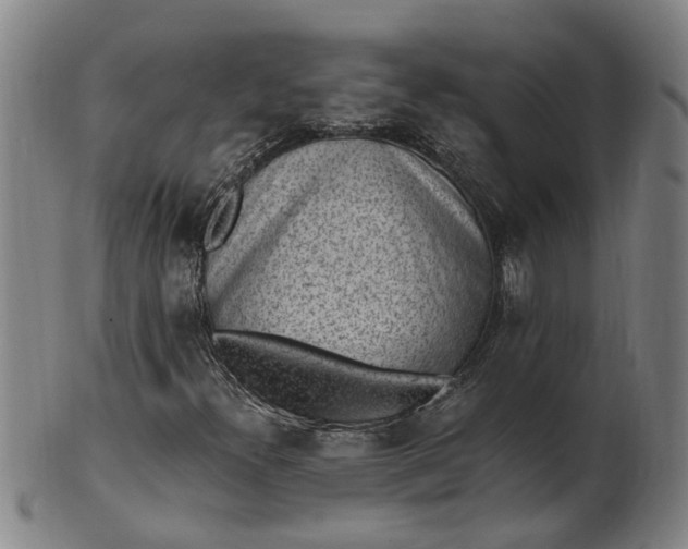 X0000101651300200807241346