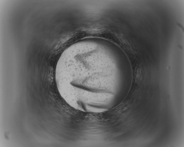 X0000101651301200807241346