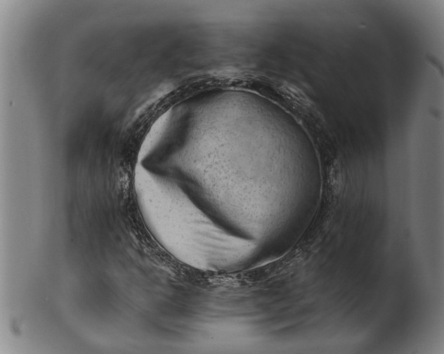 X0000101651302200807241346