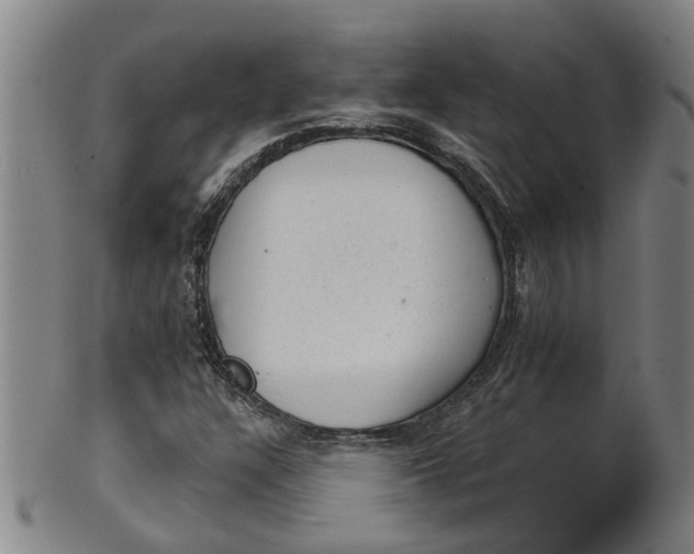 X0000101651304200807241346