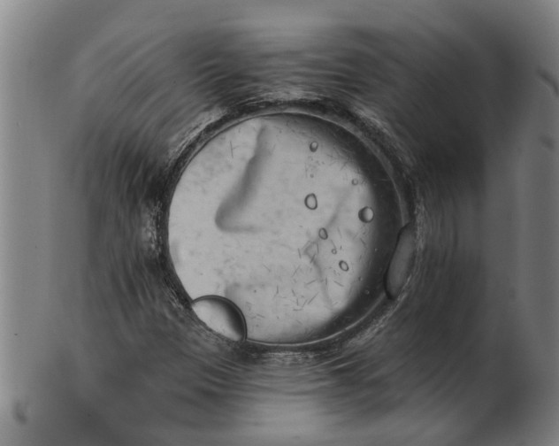 X0000101651305200807241346