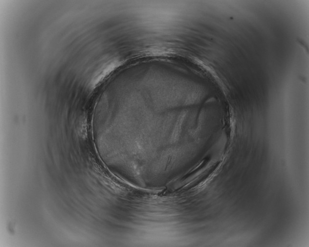 X0000101651306200807241346