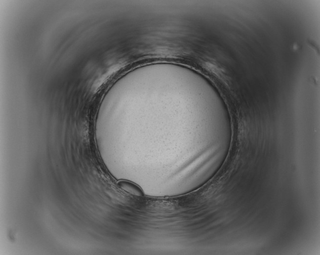 X0000101651307200807241346