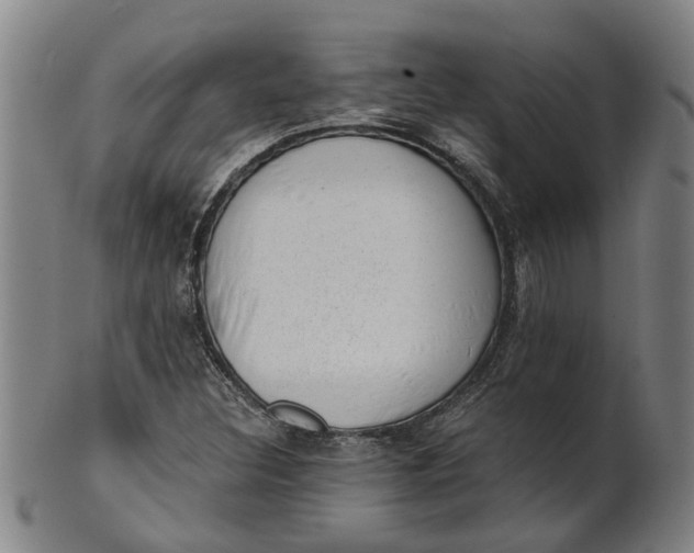 X0000101651308200807241346