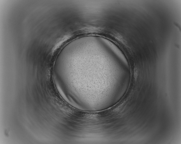 X0000101651309200807241346