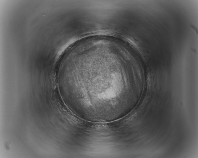 X0000101651310200807241346