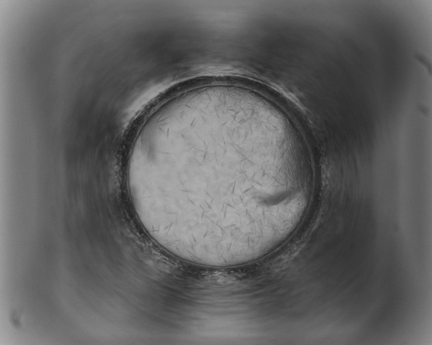 X0000101651311200807241346