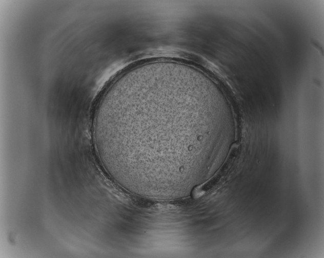 X0000101651312200807241346