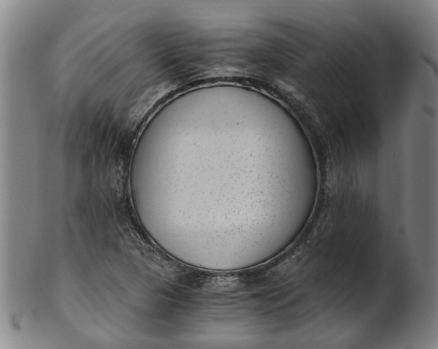 X0000101651313200807241346