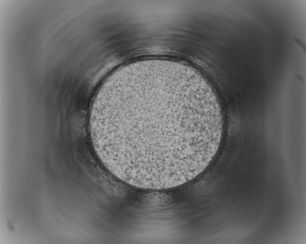 X0000101651314200807241346