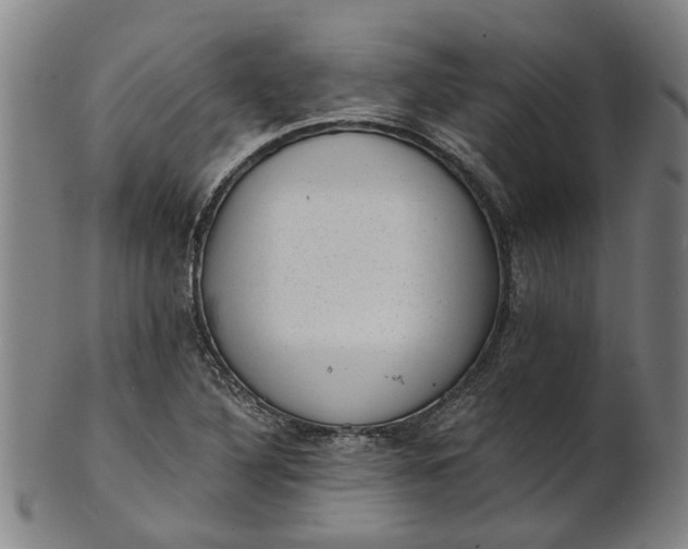 X0000101651316200807241346