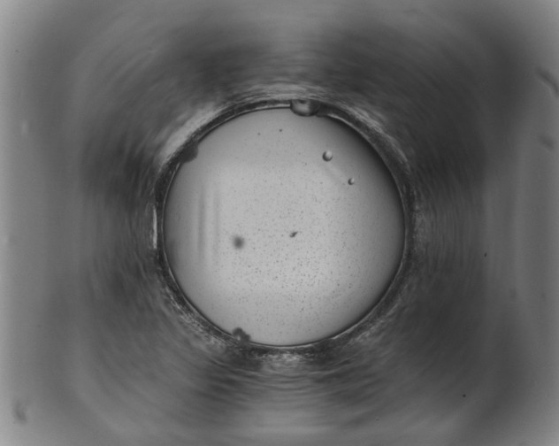 X0000101651317200807241346