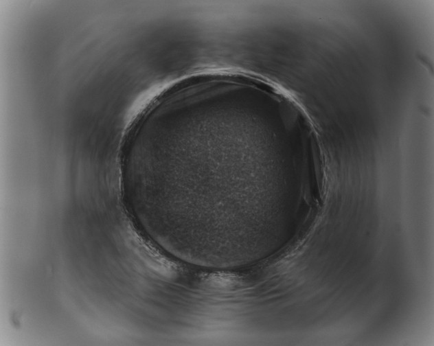 X0000101651319200807241346