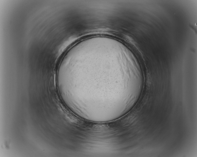 X0000101651320200807241346