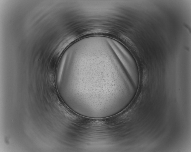 X0000101651321200807241346