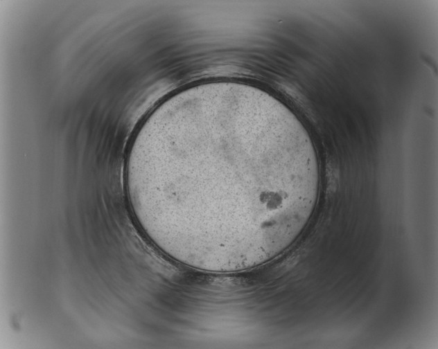 X0000101651322200807241346