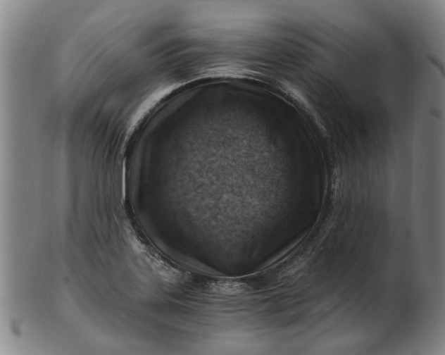 X0000101651323200807241346