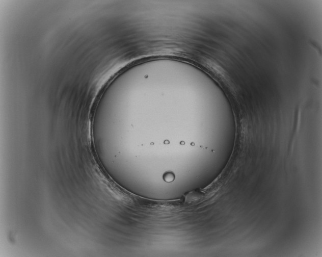 X0000101651324200807241346