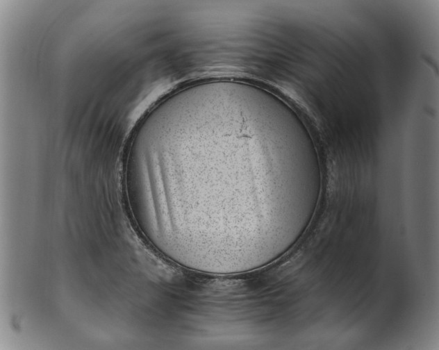 X0000101651325200807241346