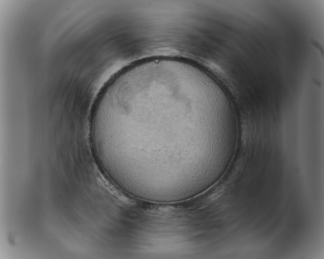 X0000101651326200807241346