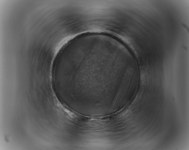 X0000101651327200807241346