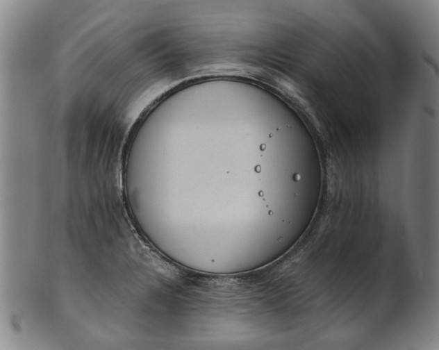 X0000101651328200807241346