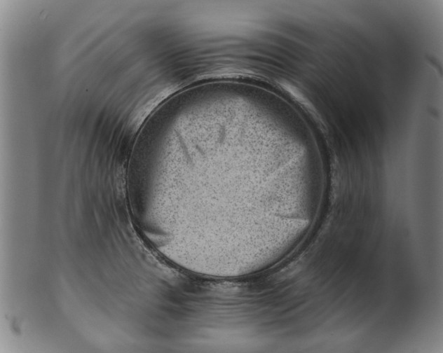 X0000101651329200807241346