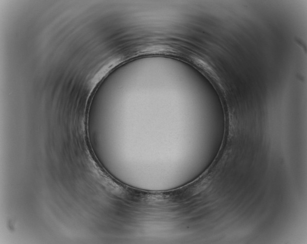 X0000101651330200807241346