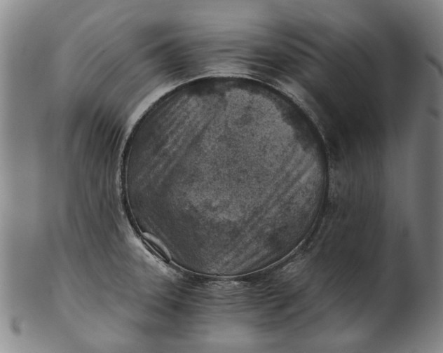 X0000101651331200807241346