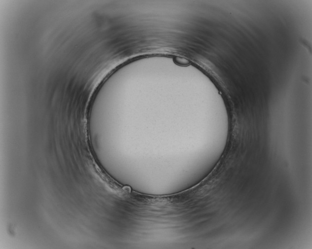 X0000101651332200807241346