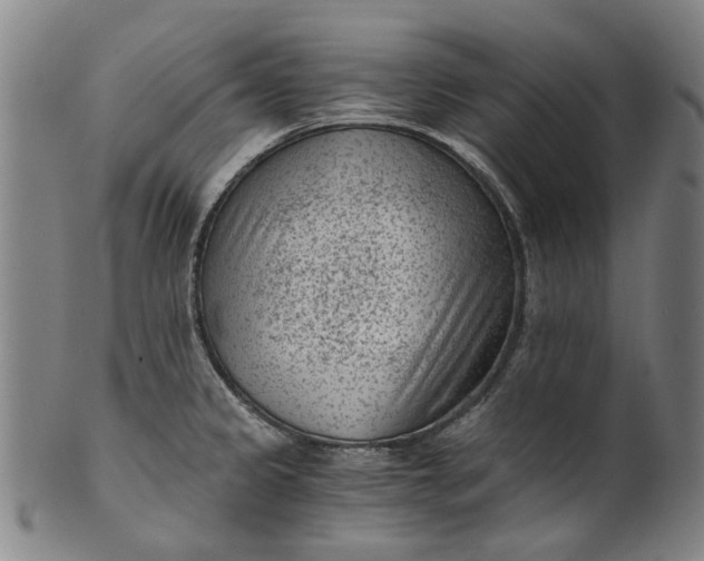 X0000101651333200807241346