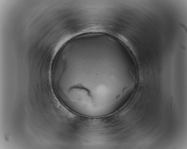 X0000101651334200807241346