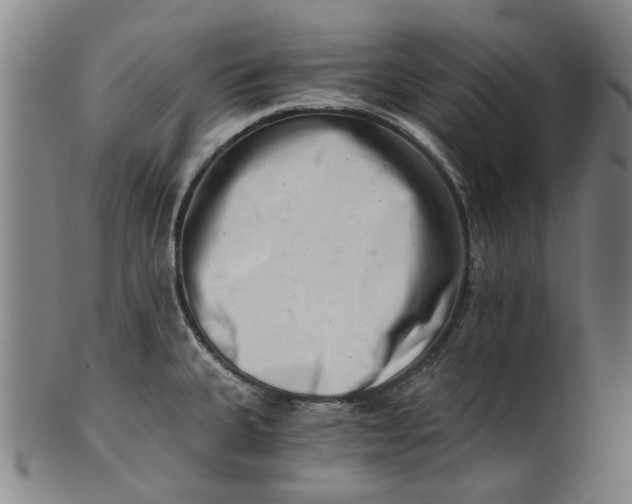 X0000101651335200807241346