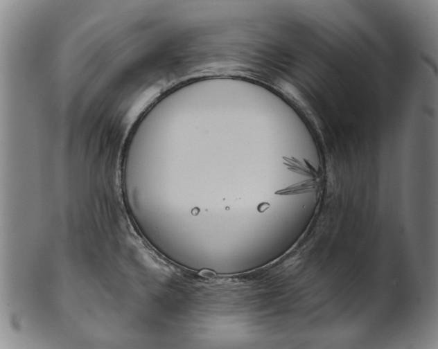 X0000101651336200807241346