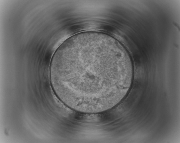 X0000101651338200807241346