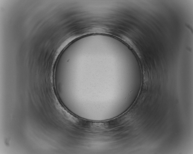 X0000101651339200807241346