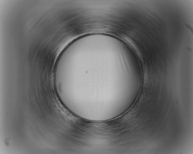 X0000101651340200807241346