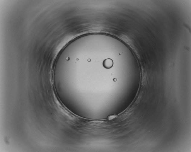 X0000101651342200807241346