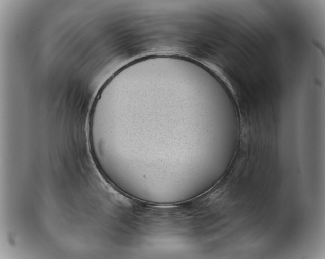 X0000101651343200807241346