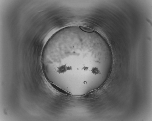 X0000101651344200807241346