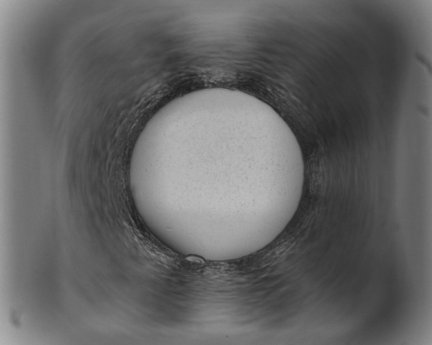 X0000101651345200807241345