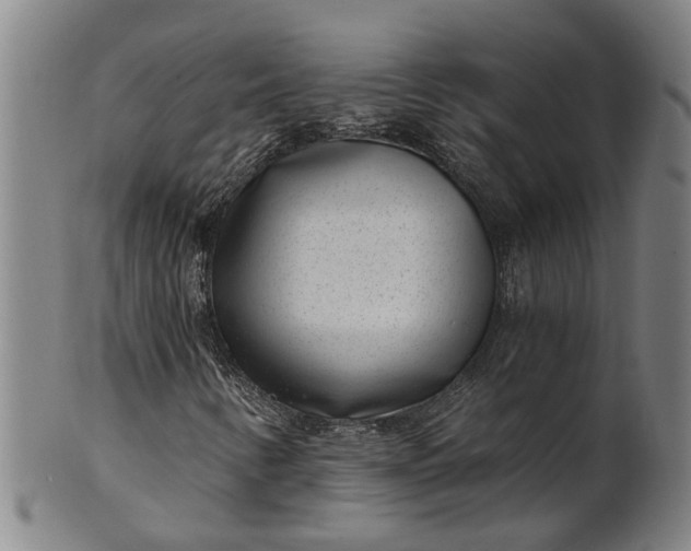 X0000101651346200807241345