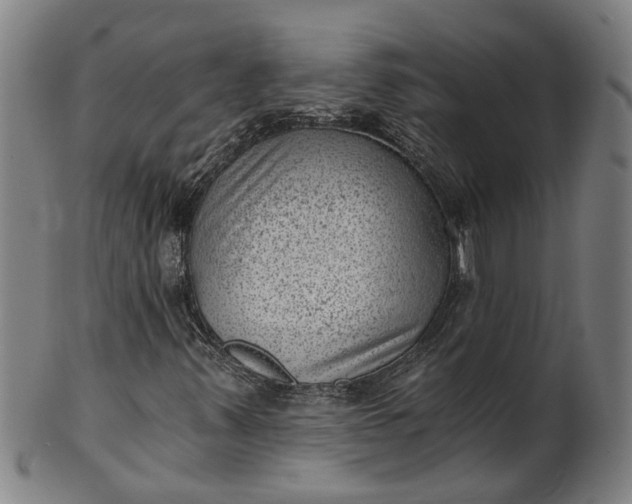 X0000101651347200807241345