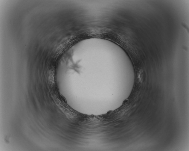 X0000101651348200807241345