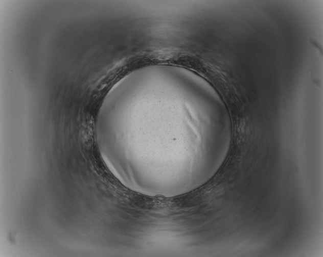 X0000101651349200807241345