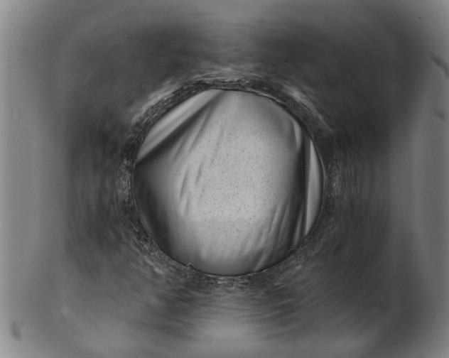 X0000101651350200807241345