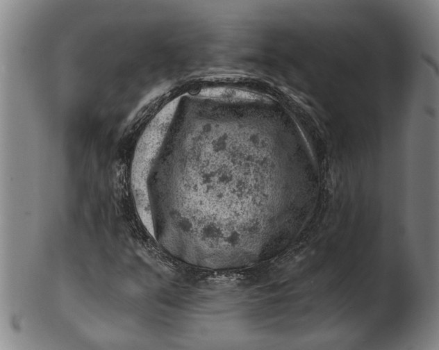 X0000101651351200807241345