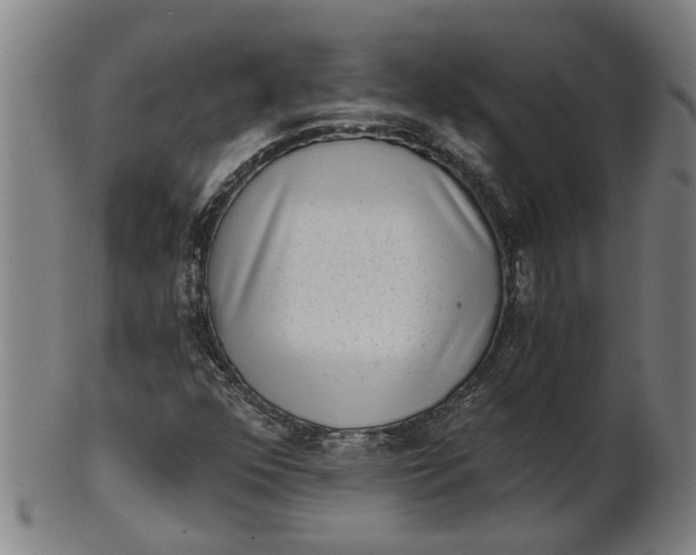 X0000101651352200807241345